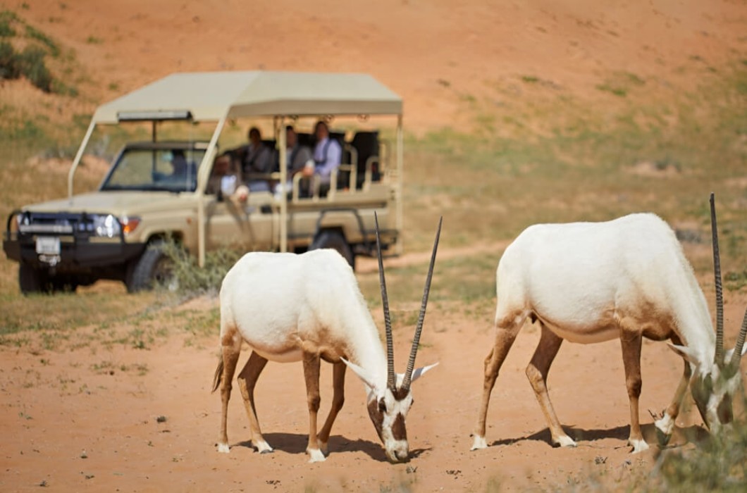 The Ritz-Carlton Ras Al Khaimah, Al Wadi Desert