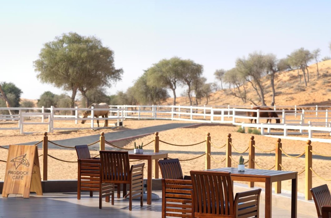 The Ritz-Carlton Ras Al Khaimah, Al Wadi Desert
