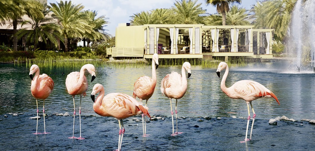 The Ritz-Carlton, Bahrain - Luxury Hotel in Bahrain