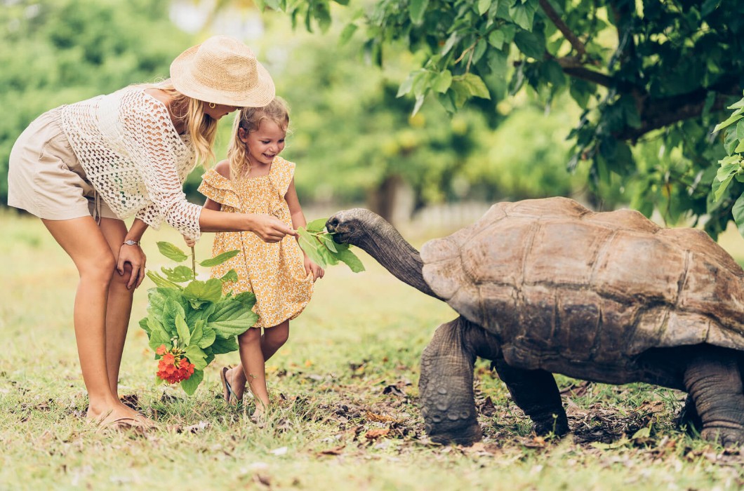 Four Seasons Resort Seychelles at Desroches Island 