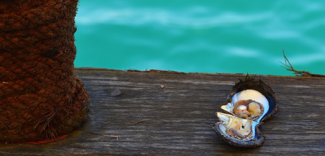 The Serdal Pearl Diving Expedition