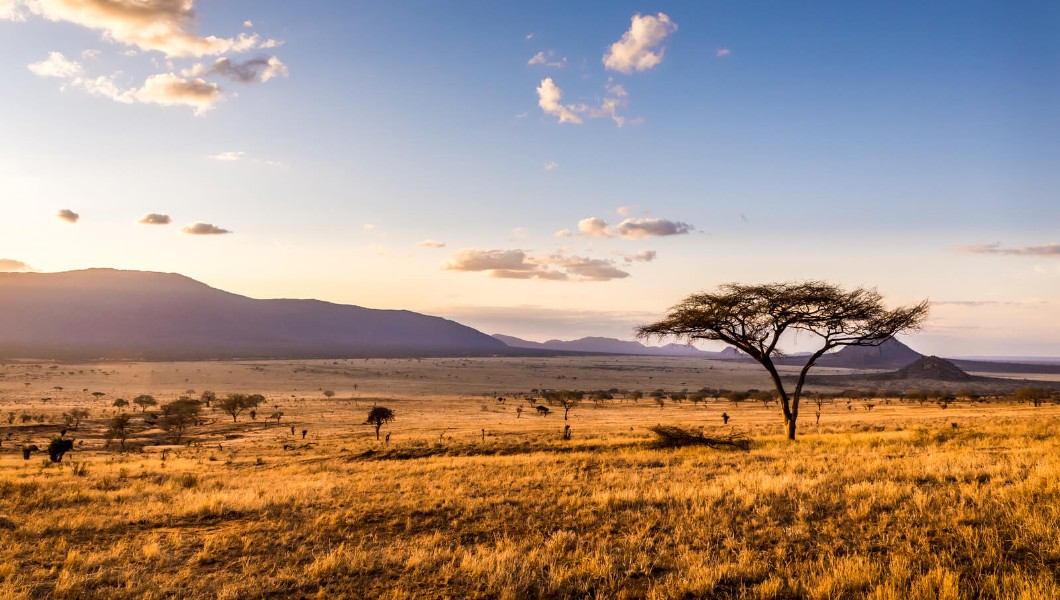 Abu Dhabi to Nairobi