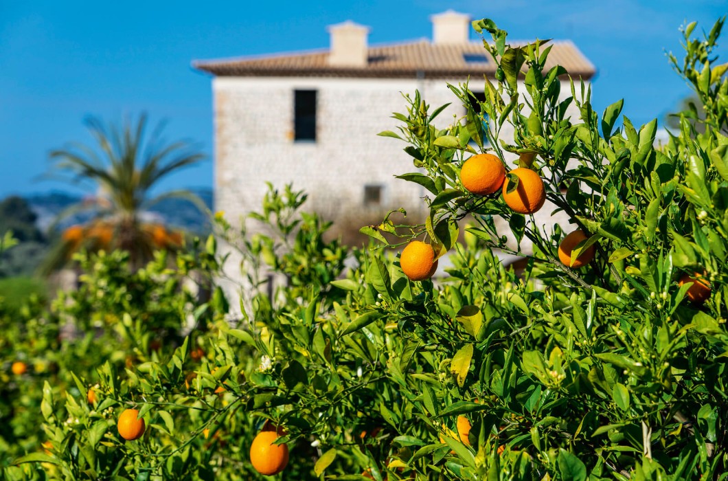 Balearic Islands