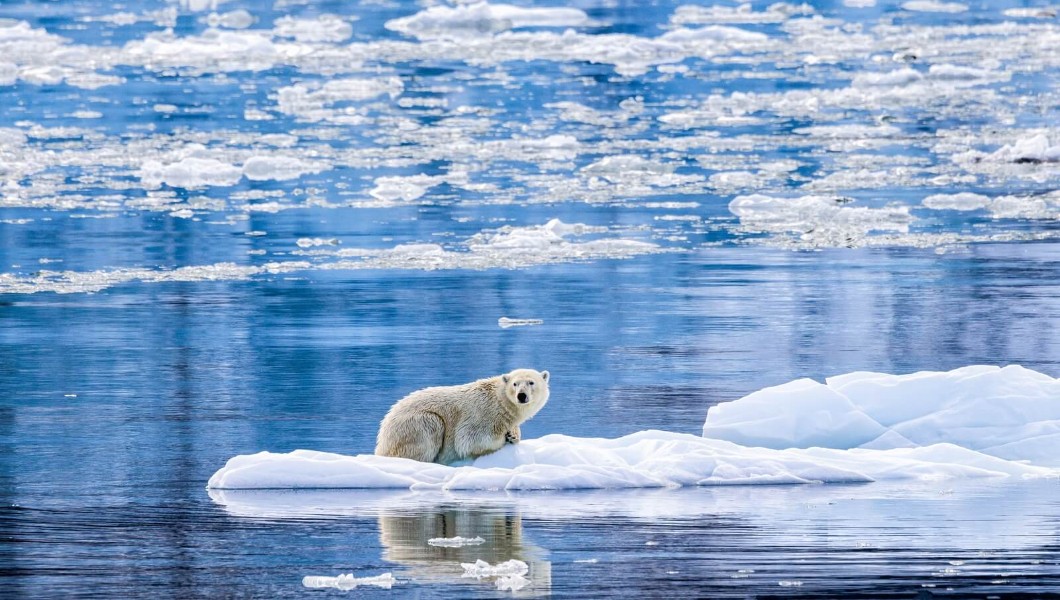 Greenland Explorer Yacht Expedition by X-1 Jets