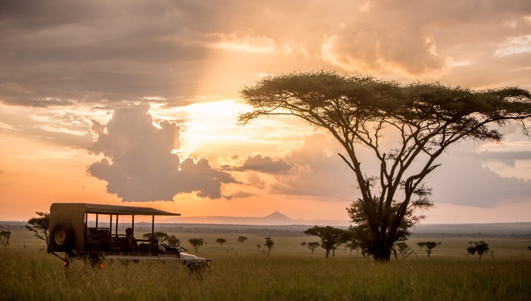 Singita Lodges