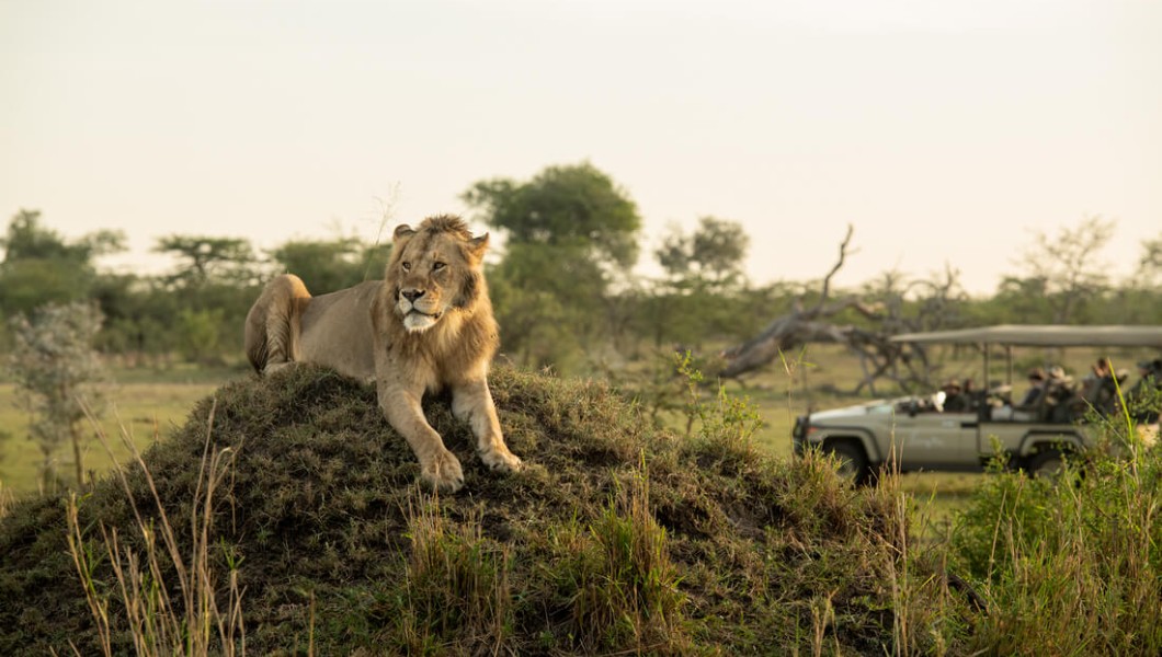 Singita Lodges