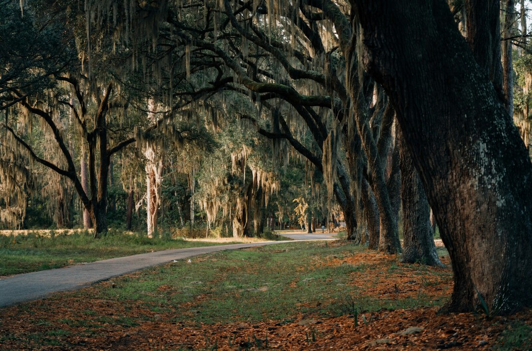 Six Senses South Carolina Islands