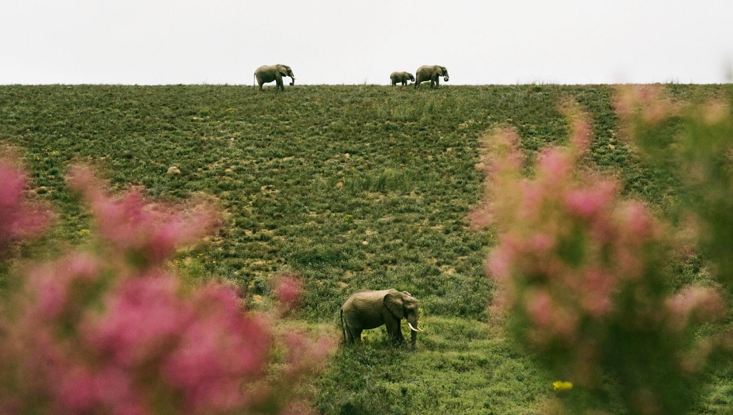 South Africa