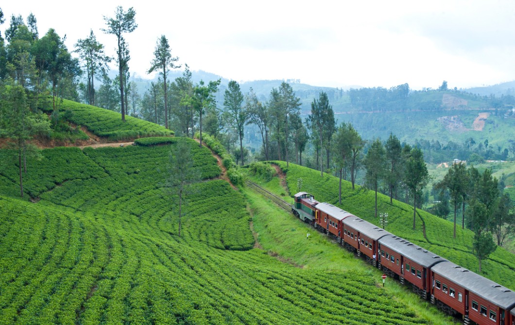 Resplendent Ceylon