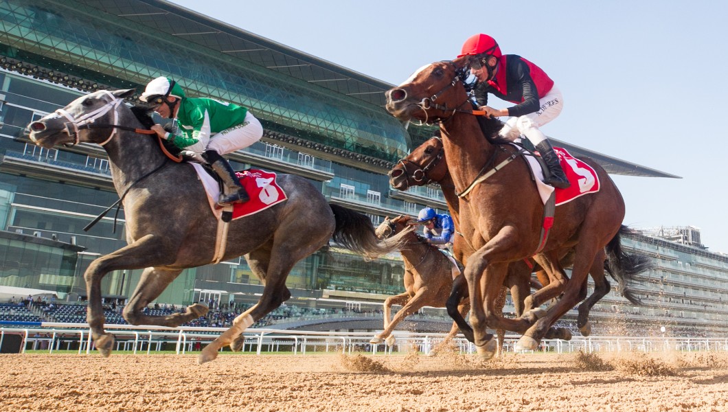 the Meydan Hotel