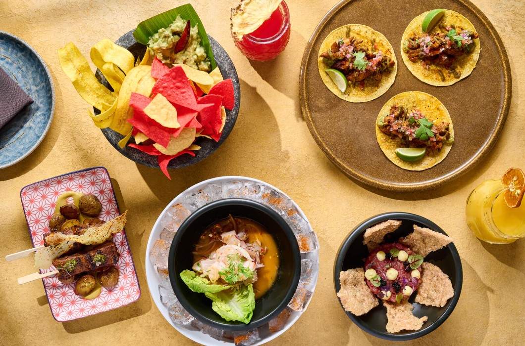 Pan-American restaurant ZOCO