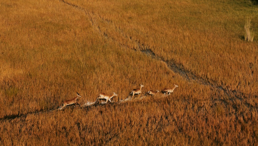 Botswana