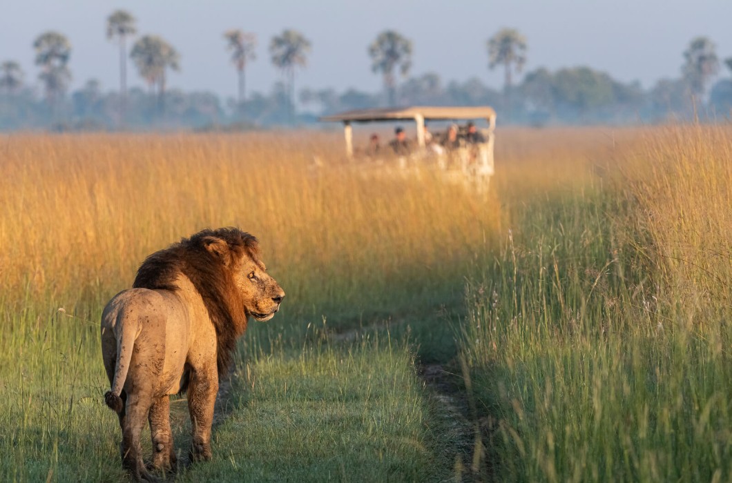 Xigera Safari Lodge