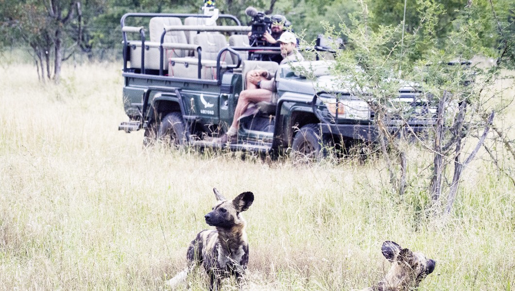 Luxury African Safaris