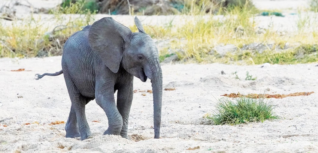 Tanzania’s Ruaha National Park