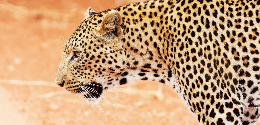 Tanzania’s Ruaha National Park