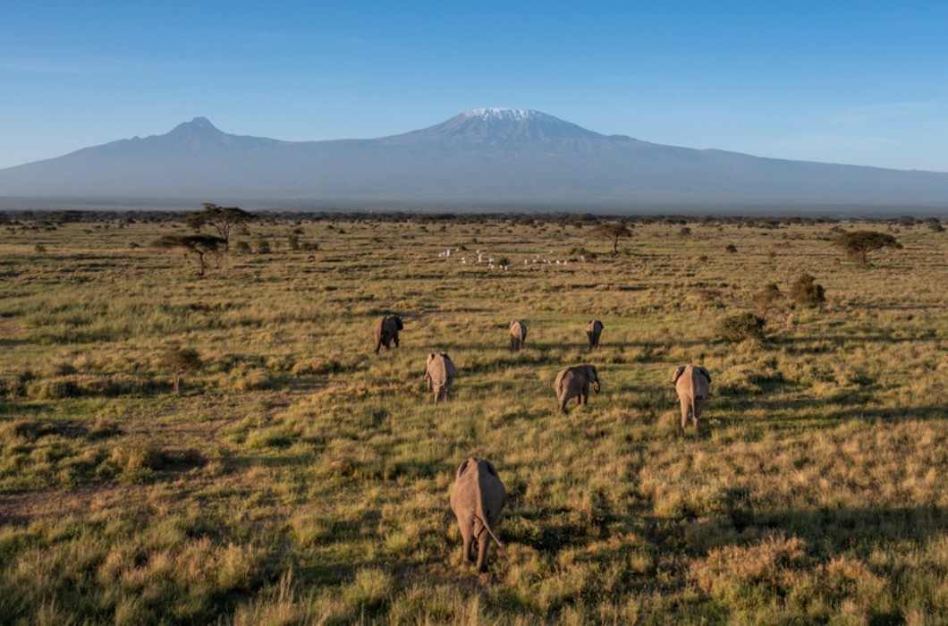 Angama Amboseli