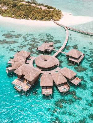 Coco Bodu Hithi