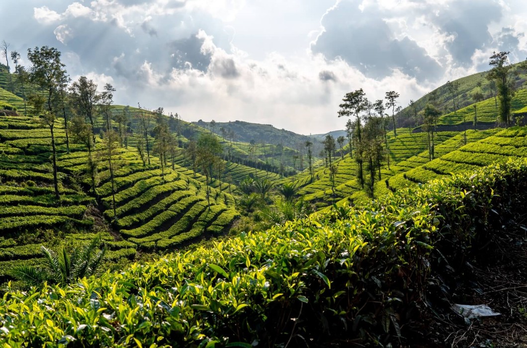 Nuwara Eliya, Sri Lanka 